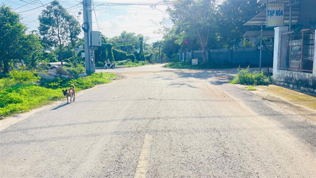 Bán đất hòa long thành phố bà rịa vũng tàu