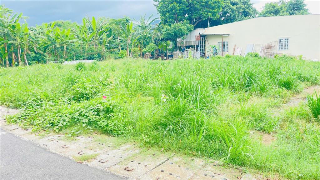 Bán đất phường phước hưng thành phố bà rịa vũng tàu