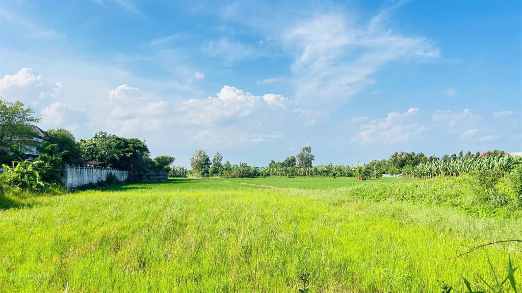 Bán đất phước hưng thành phố bà rịa vũng tàu