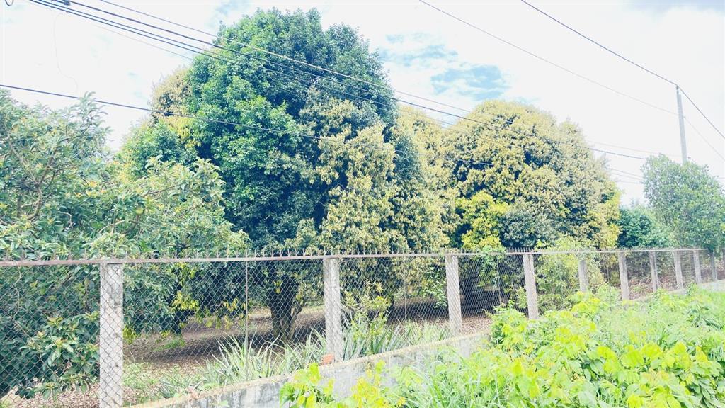 Bán đất long tân đất đỏ bà rịa vũng tàu