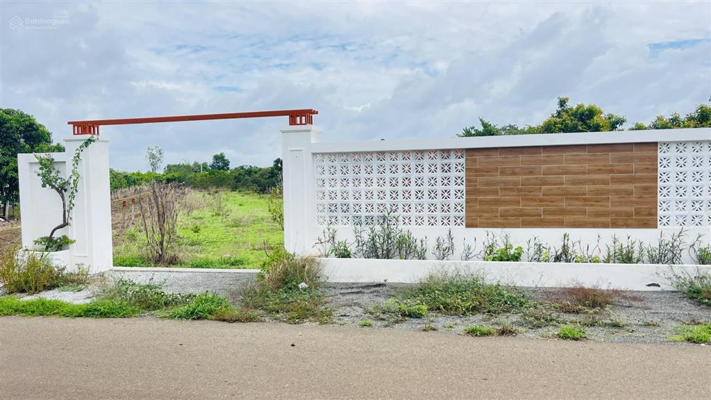 Bán đất long tân đất đỏ bà rịa vũng tàu