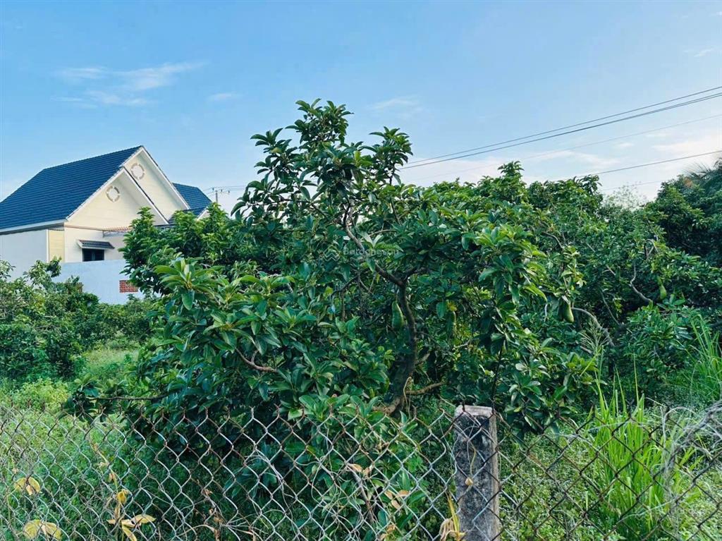 Bán đất phước hải, bà rịa vũng tàu