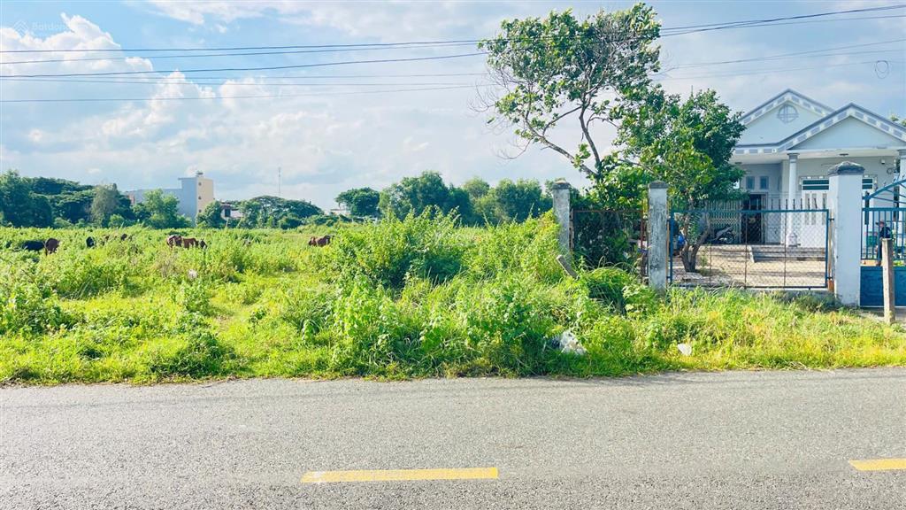 Bán đất sào mẫu hoa long bà rịa vũng tàu