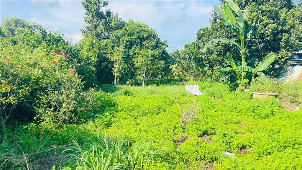 Bán đất hòa long bà rịa vũng tàu