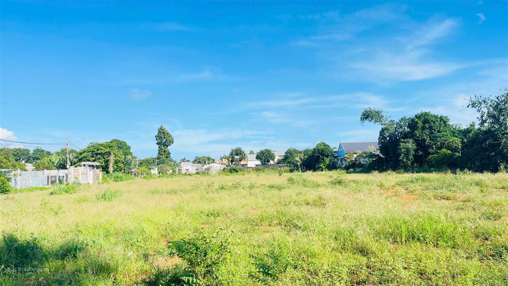 Bán đất hòa long bà rịa vũng tàu