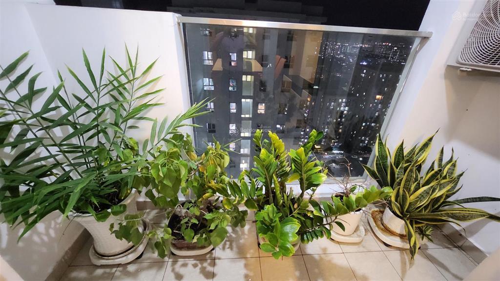 Cho thuê căn góc tầng 29, cc diamond riverside, 12,5 triệu, 74m2, 2pn + 2wc, nội thất mới rất đẹp.