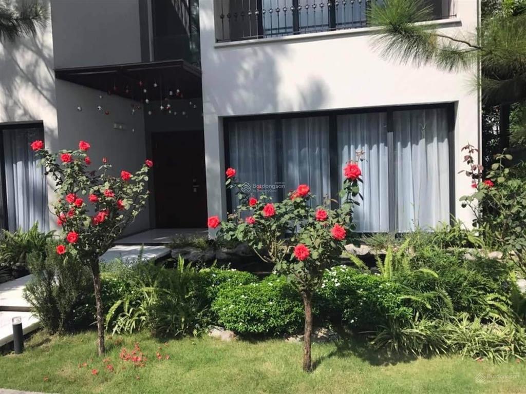 Bán biệt thư đơn lập siêu vip vườn mai ecopark hưng yên  khu tinh hoa diện tích 378m2 giá 64 tỷ