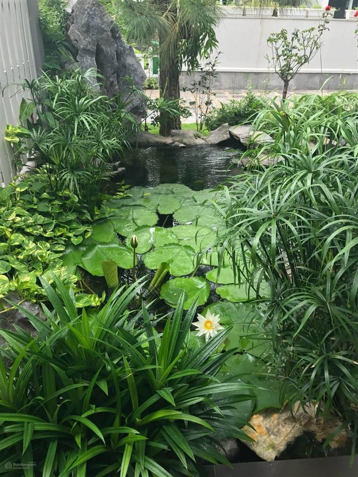 Bán biệt thư đơn lập siêu vip vườn mai ecopark hưng yên  khu tinh hoa diện tích 378m2 giá 64 tỷ
