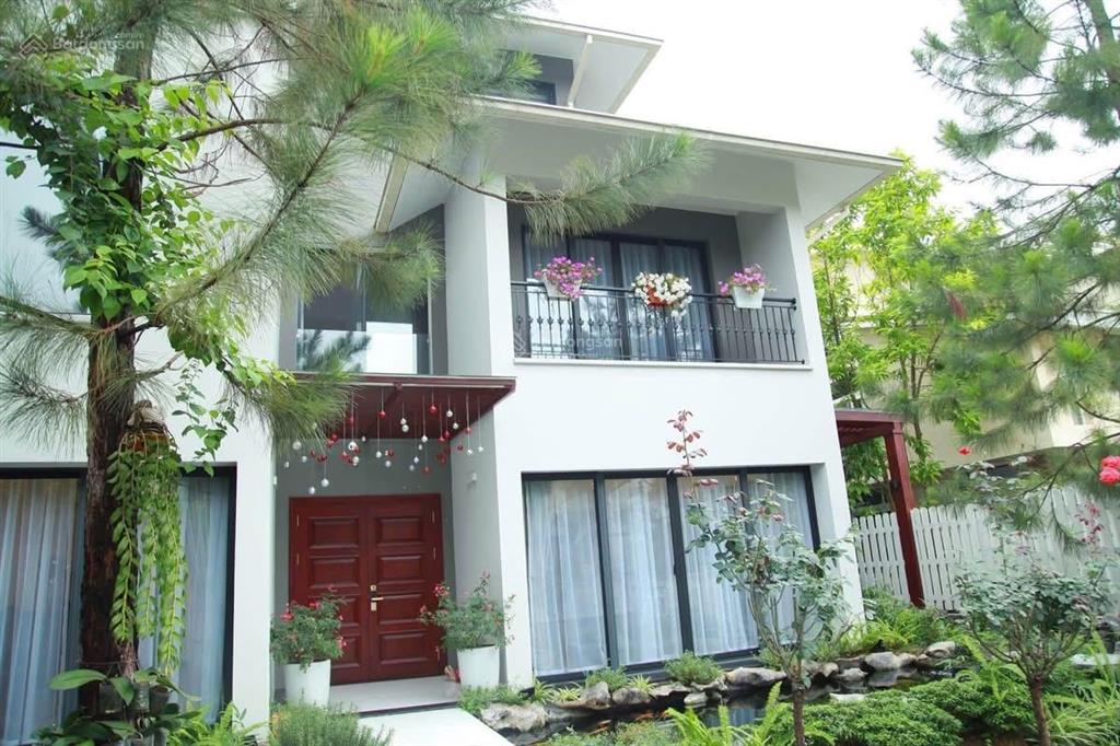 Bán biệt thư đơn lập siêu vip vườn mai ecopark hưng yên  khu tinh hoa diện tích 378m2 giá 64 tỷ