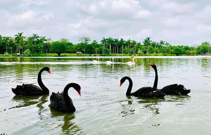 Bán gấp chung cư westbay ecopark 50m2, full nội thất tầng trung để đi pháp