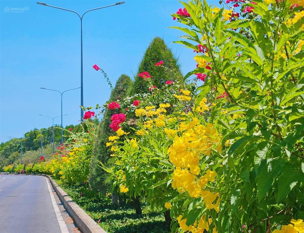 Mặt tiền lương văn nho  409m² đất thổ cư, vị trí vàng để kinh doanh, xây trọ