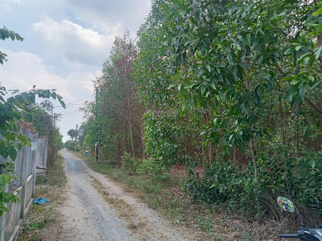 Bán đất đẹp tại xã phước an, giá thỏa thuận, 4000m2, mặt tiền 40m