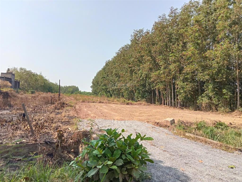 Bán gấp đất 15000m2 tại bàu cạn, giá thỏa thuận.