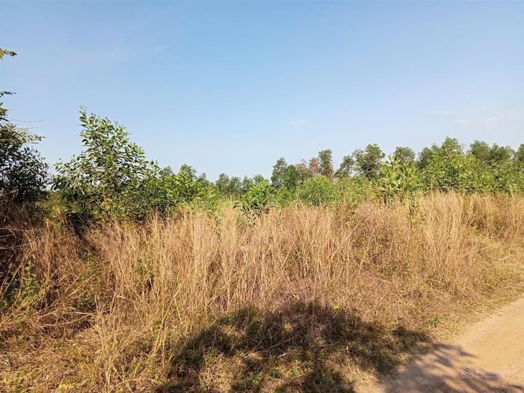 Bán đất tại xã long phước, giá thỏa thuận, 9400m2, cơ hội đầu tư giá tốt.