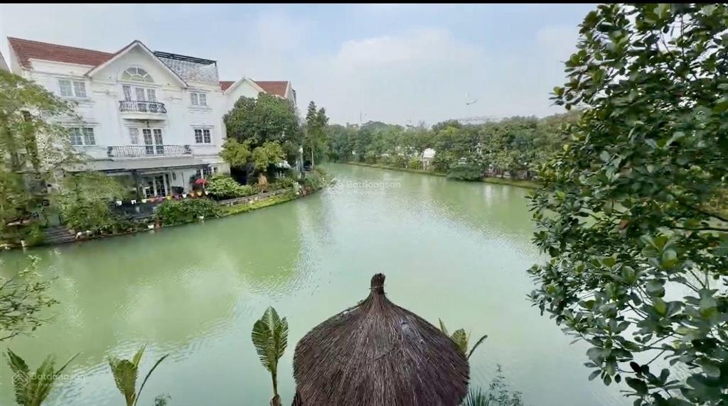 Bán đơn lập hoa sữa 8, 423m2, đn, nở hậu không lỗi, mặt tiền 13m, sông rộng, full nội thất 142 tỷ