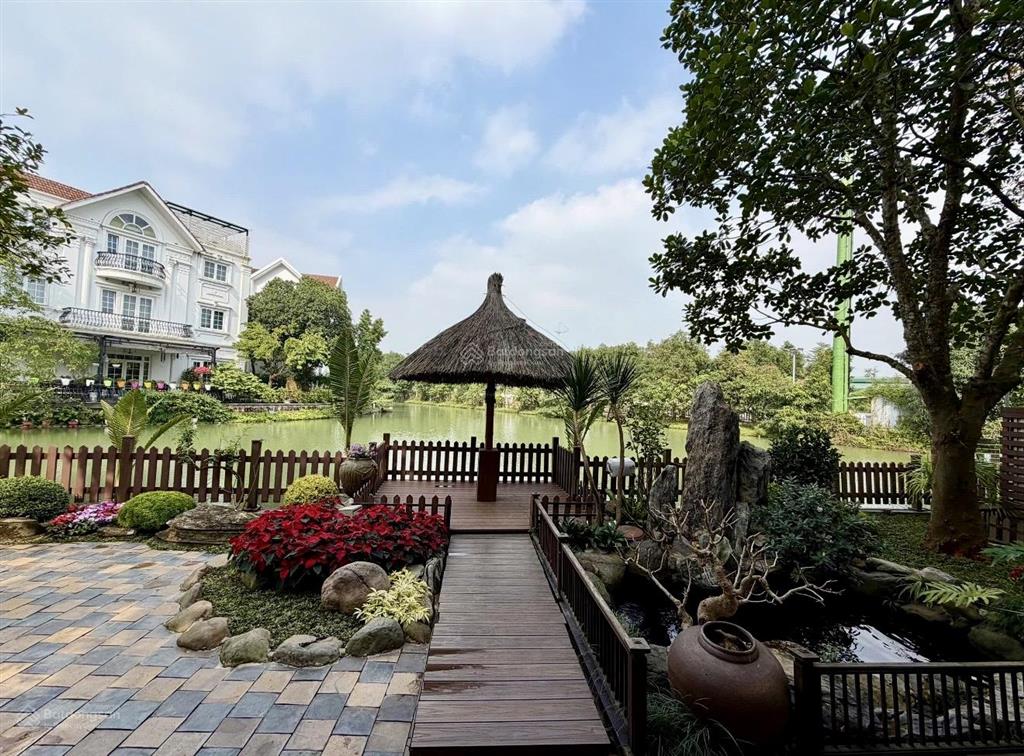Bán đơn lập hoa sữa 8, 423m2, đn, nở hậu không lỗi, mặt tiền 13m, sông rộng, full nội thất 142 tỷ
