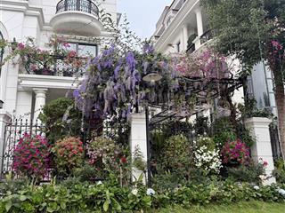 Thiện chí bán biêt thự đơn lập đông nam mặt hồ 12,4ha vinhomes the harmony 315m2, tulip 1