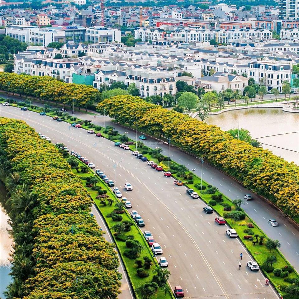 Thiện chí bán biệt thự đơn lập đông nam mặt hồ 12,4ha vinhomes the harmony 330m2, tulip 1