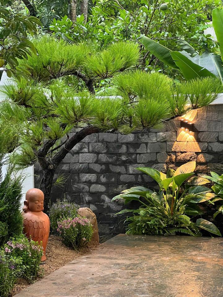 Bán biệt thự hoa phượng riverside, 240m, hoàn thiện luxury, thang máy, tầng hầm, ngã ba sông rộng