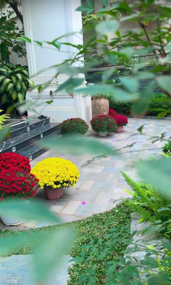 Bán gấp bt hoa sữa. 310m2. hoàn thiện đẹp, thiết kế thoáng, sân vườn rộng, view sông mở 97 tỷ