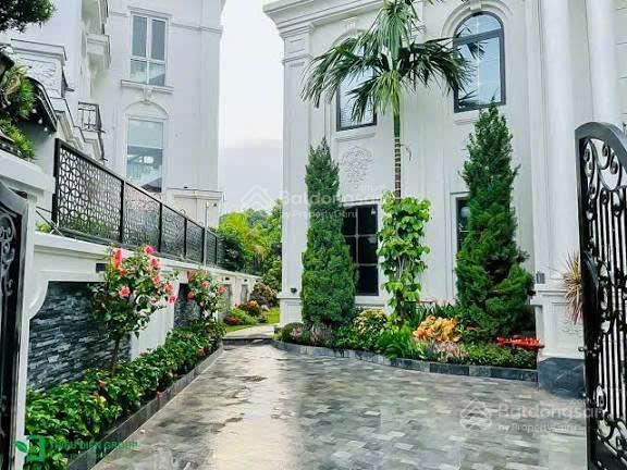 Bán đơn lập vip bằng lăng 9. 490m2, hoàn thiện cực đẹp, siêu trung tâm, ngã ba sông đẹp bl