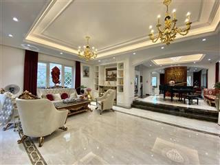 Bán gấp bt vvip hoa phượng 309 hoàn thiện đẹp, hướng đn, 309m, xd 140m2 đơn lập view sông rộng