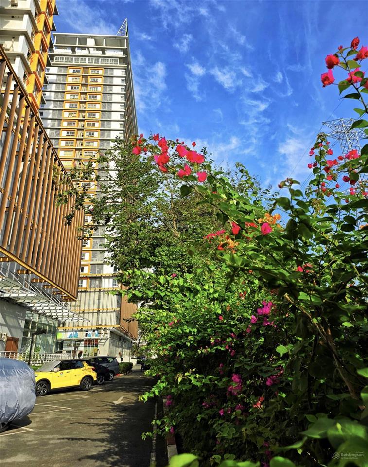 Bán cc dragon hill 100m2 giá cực tốt không có căn thứ 2.  0777 649 ***