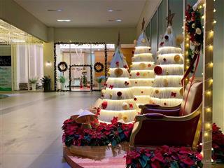 Hàng hiếm tại dragon city, 5,35 tỷ, 130m2, nhà bè, hcm