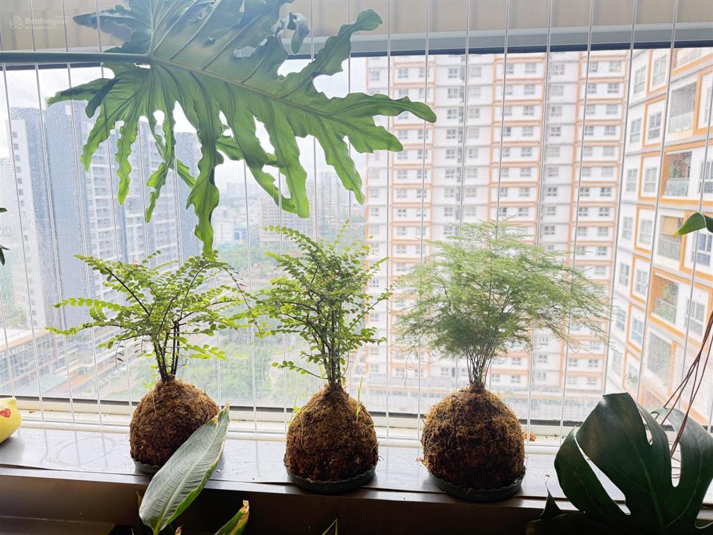 Chính chủ cần bán dragon hill  nguyễn hữu thọ, thiết kế 2pn, nhà đẹp view pmh