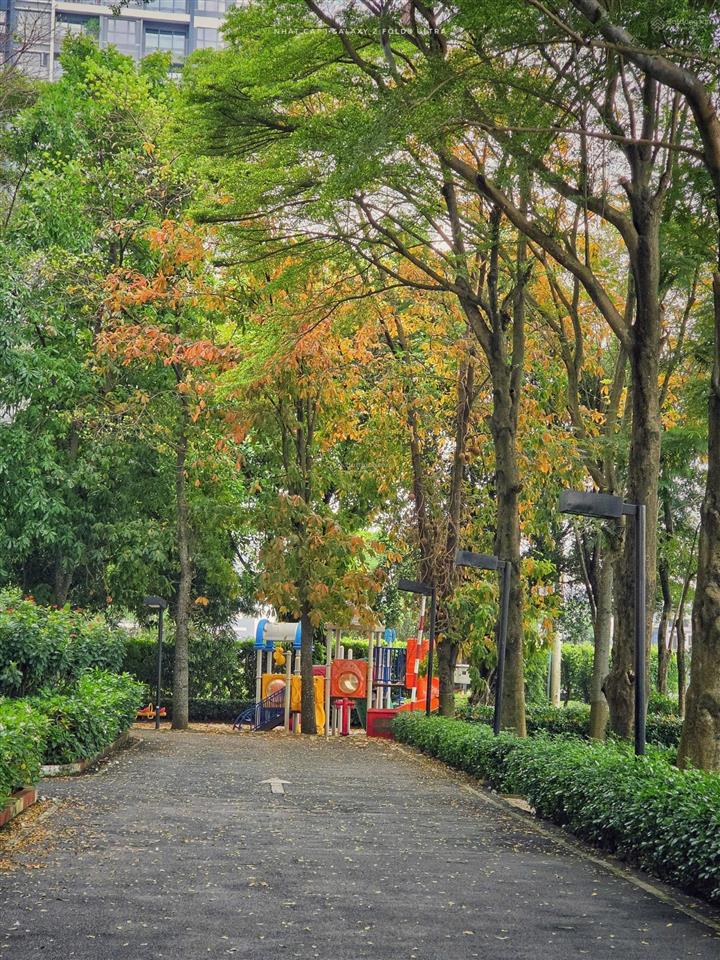 Bán gấp ch dragon hill, 4 tỷ, view đẹp tại dragon hill residence