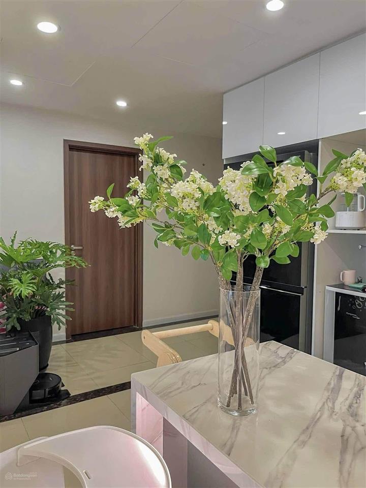 Cho thuê gấp chuỗi căn hộ 3 phòng ngủ 110m2 hiện đang cho thuê air bnb