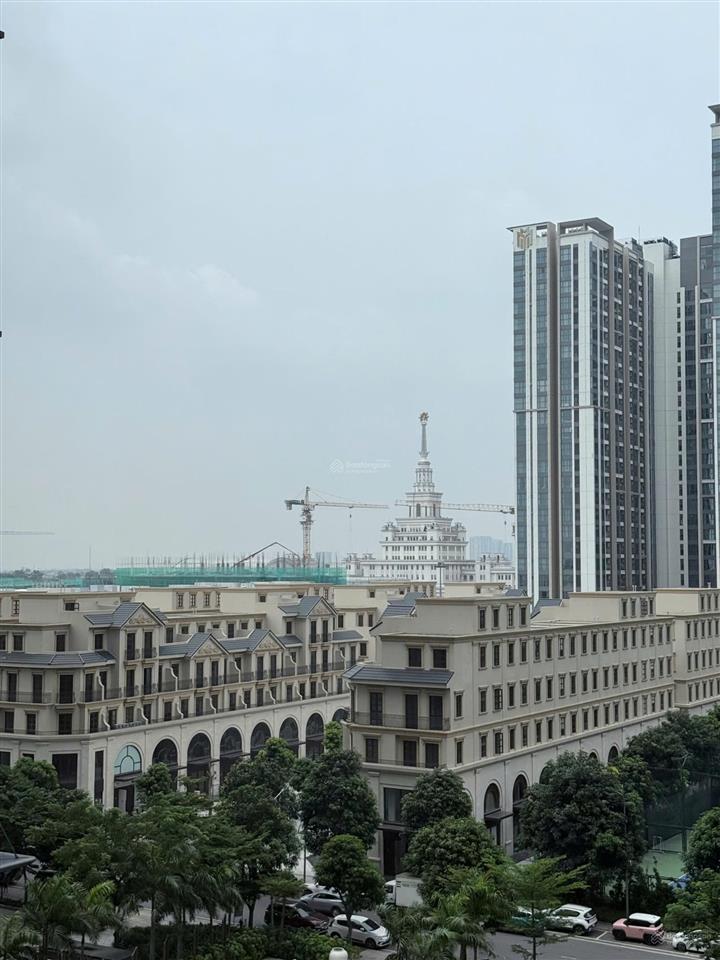 Chính chủ cho thuê căn 2 ngủ góc  2wc  view vinuni cực kì đẹp tại toà h2 (masteri waterfront)