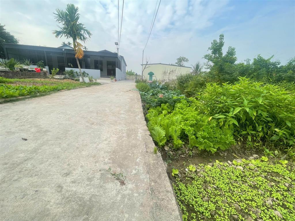 Bán lô đất nhà vườn 157m2 tại hoà nghĩa giá chỉ 1,x tỷ