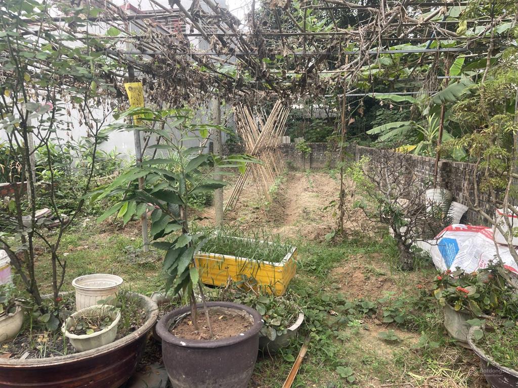 Chỉ 1,6 tỷ sở hữu đất đẹp đường 6m cạnh kcn nội bài sóc sơn. full thổ cư. vị trí đắc địa tiềm năng