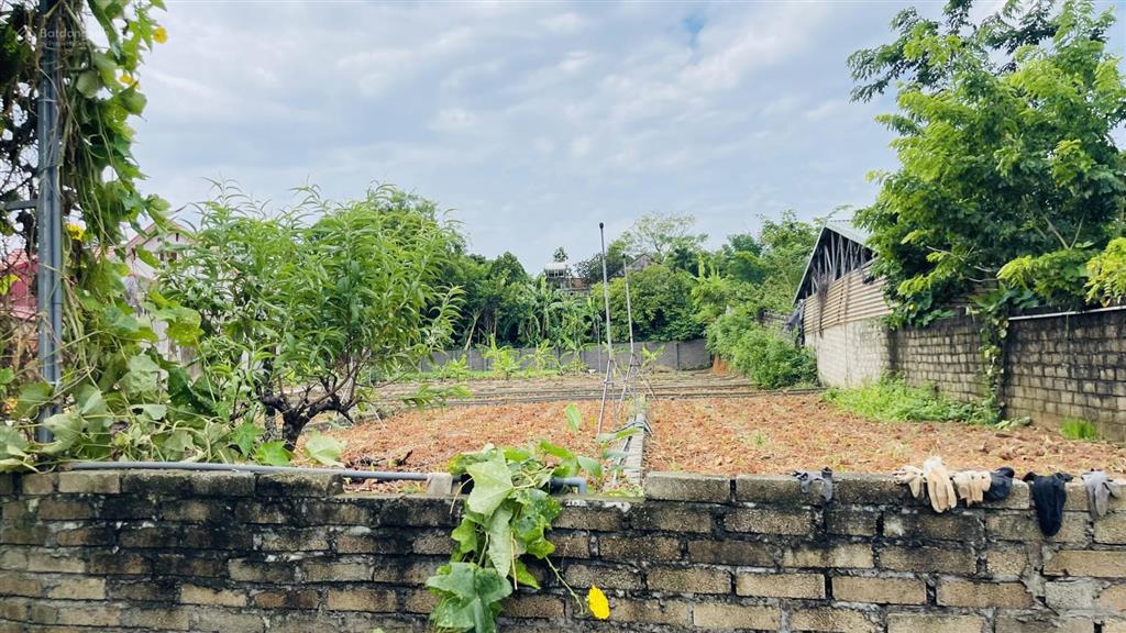 Cạnh kcn hoà yên. nhỉnh 1 tỷ sở hữu 84,5m2 thổ cư đường 7m sát vành đai 4 tại p.vân hà, tp bắc ninh