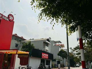 Bán đất biệt thự khu đấu giá 31ha,Trâu Quỳ,Gia Lâm 248m2 đường 15m view Vườn hoa,dòng tiền