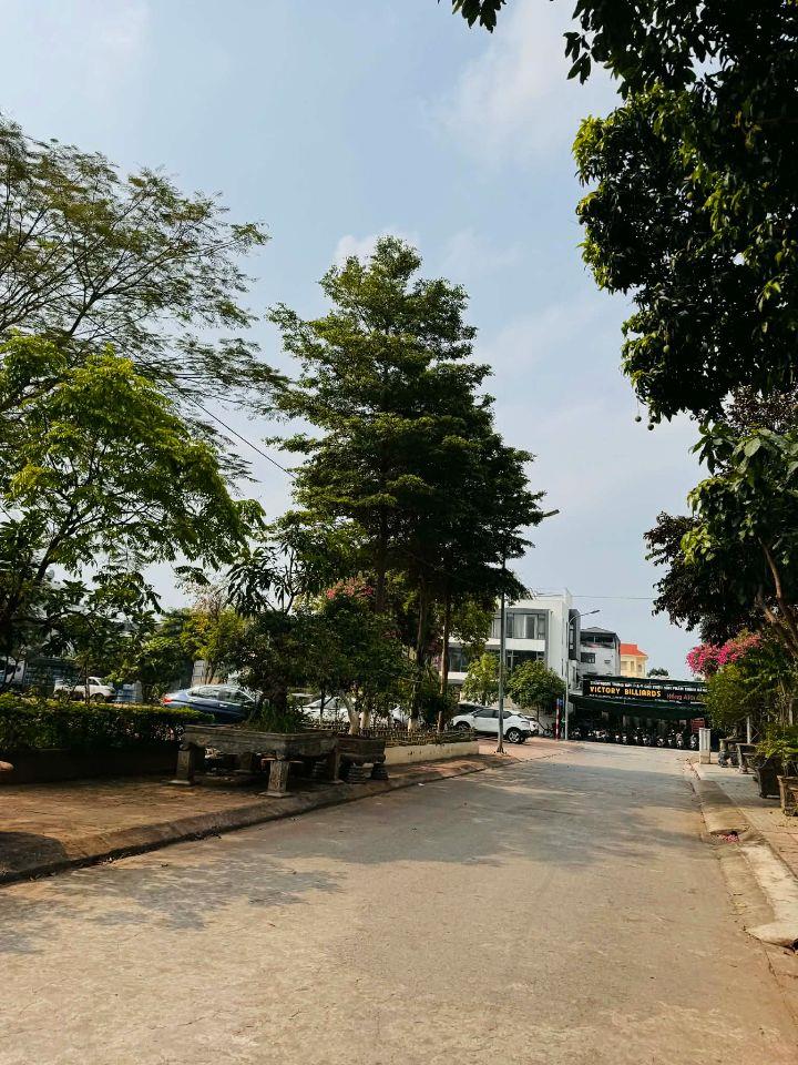 Bán đất biệt thự khu đấu giá 31ha,Trâu Quỳ,Gia Lâm 248m2 đường 15m view Vườn hoa,dòng tiền