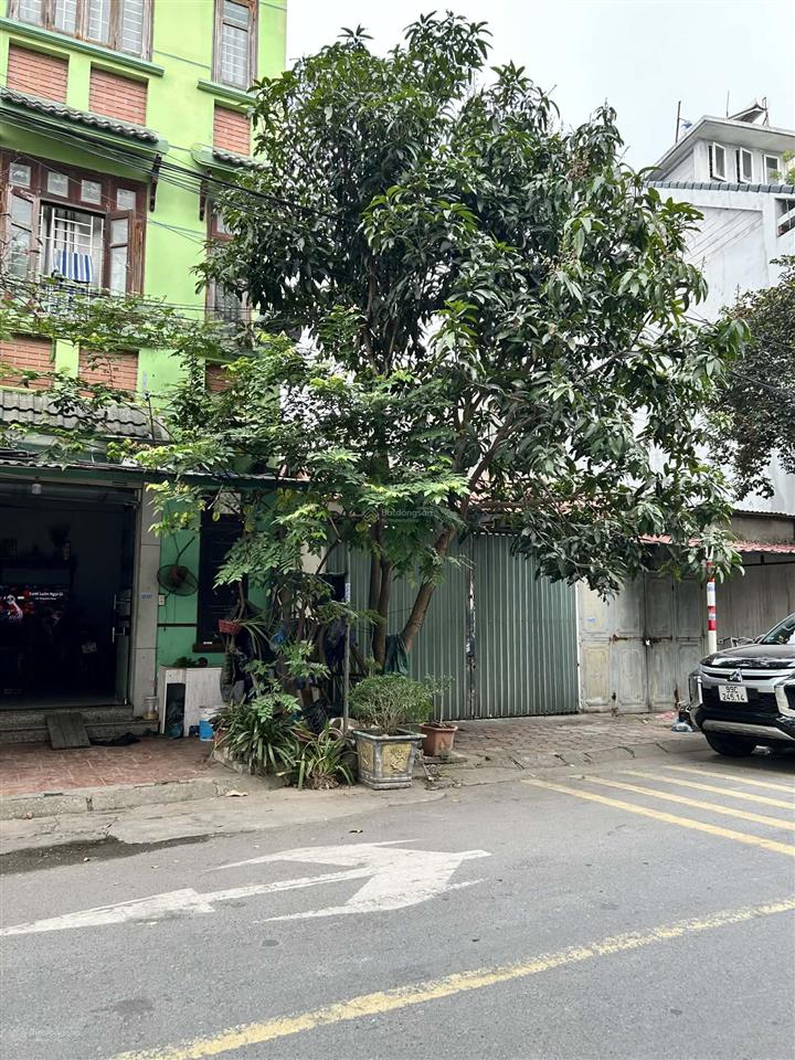 Bán đất biệt thự khu đấu giá 31ha trâu quỳ/gia lâm 236m2 đường to vị trí đẹp kinh doanh