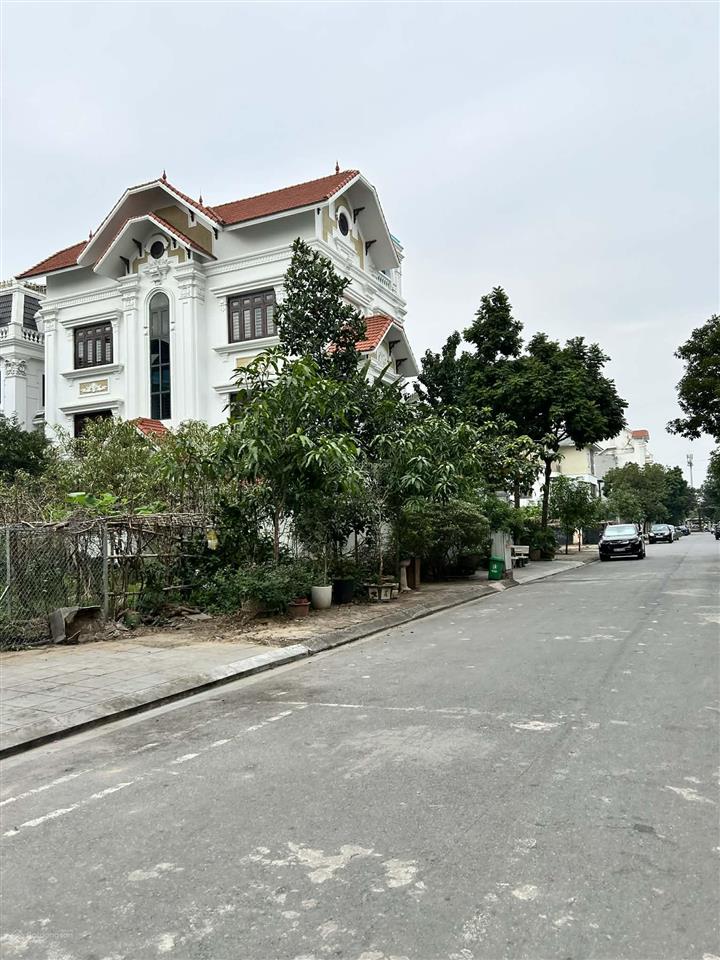 Bán đất biệt thự khu đấu giá 31ha trâu quỳ, gia lâm 250m2 mặt tiền 12m view vườn hoa, sẵn dòng tiền
