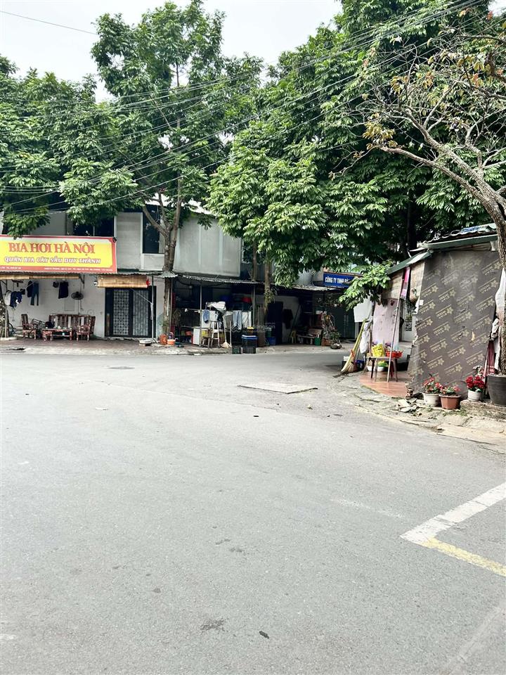 Bán đất biệt thự khu đấu giá 31ha trâu quỳ, gia lâm 250m2 mặt tiền 12m view vườn hoa, sẵn dòng tiền