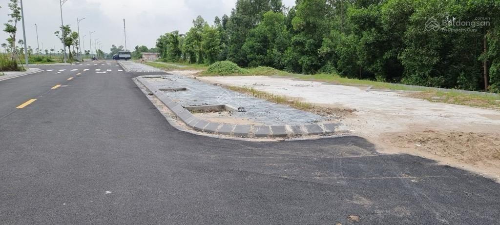 Bán gấp: lô góc 224m2 đất đấu giá Hàn Lạc, Phú Thị, Gia Lâm đường 15m thông các ngả