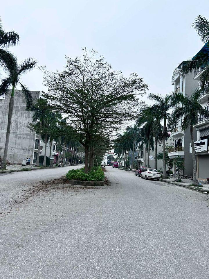 Bán gấp:phân lô tái định cư Kiêu Kỵ/Gia Lâm,Hà Nội 80m2 mt4.5m đường 11m, cực thoáng