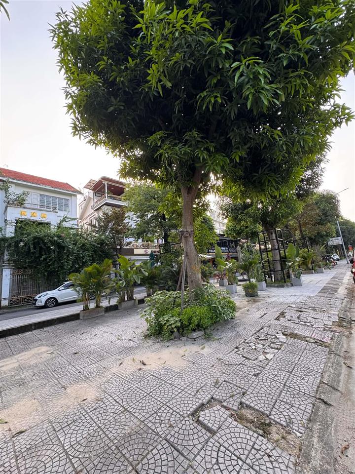 Cho thuê mbkd, btsl đường đôi 40m khu đô thị đặng xá 175m2 mt 10.5m kinh doanh sầm uất