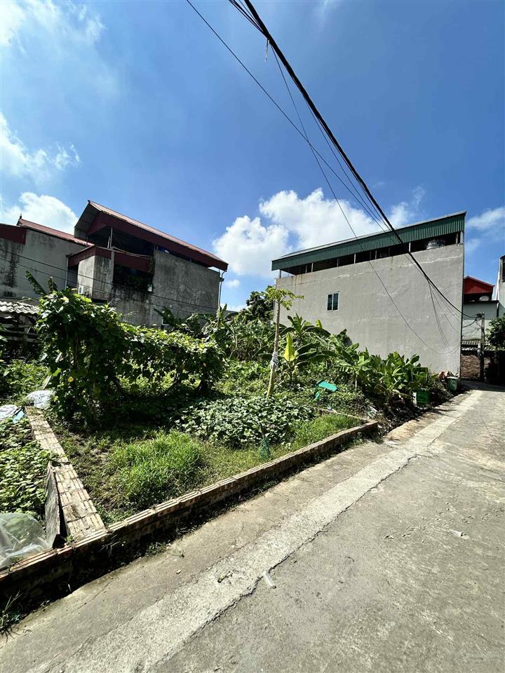 Chính chủ bán đất huyện thuận thành, bắc ninh 77m2 mt 5m75 ô tô đỗ cửa 2 mặt tiền