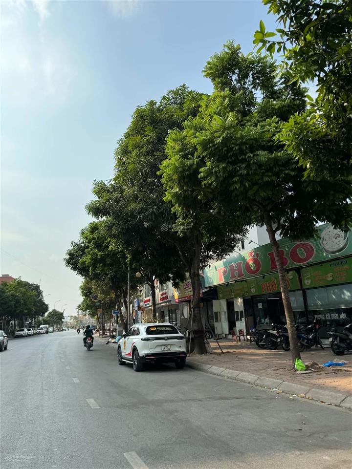 Cho thuê căn hộ dịch vụ phố thành trung, trâu quỳ, gia lâm 60m2, 5 tầng, thang máy, nhà mới 99%