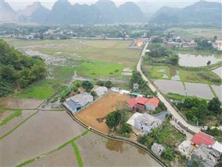 Cần bán siêu phẩm 1000m2 có 500m2 đất ở view cánh đồng view núi siêu đẹp tại lương sơn  hoà bình