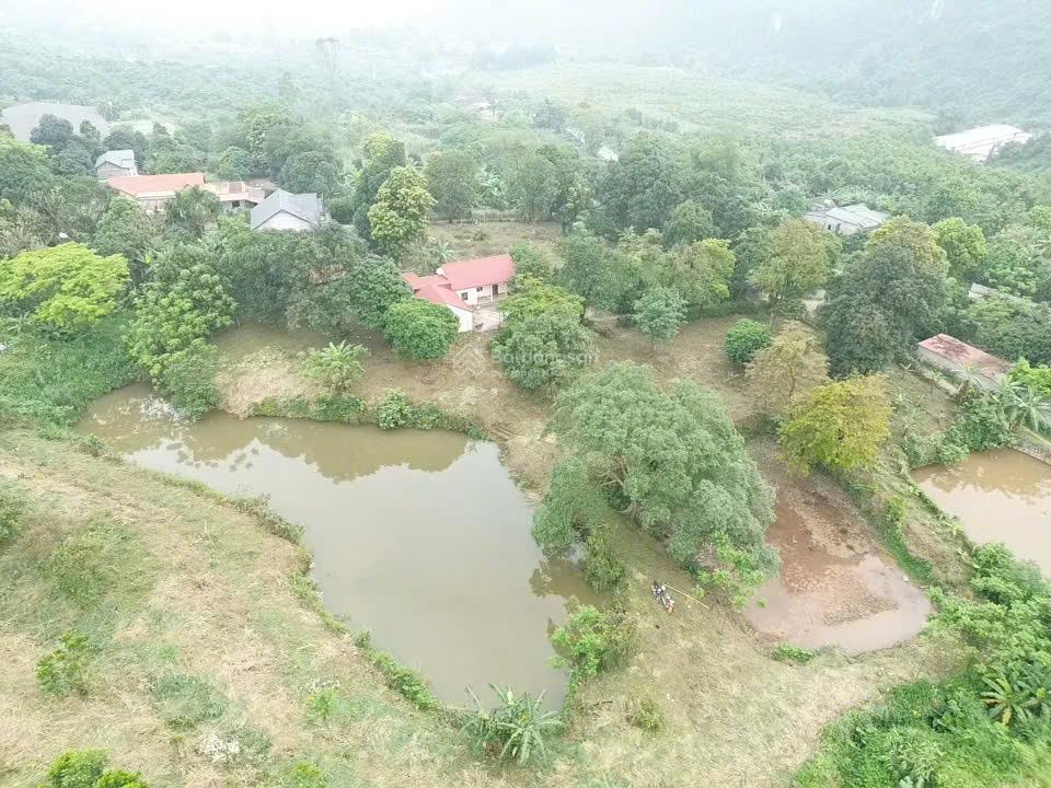 Giá chỉ hơn 1 tr/m2 bán gấp 8.500m2/400m2 thổ cư (trong sổ) thực tế 1,45ha tại lương sơn  hoà bình