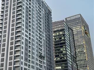 Cho thuê penthouse park view điện biên phủ   0901 422 ***