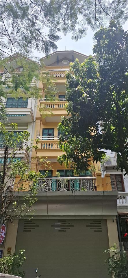 Chính chủ cho thuê nhà phố xuân quỳnh, phường yên hòa, quận cầu giấy  90m x 5 tầng có hầm.