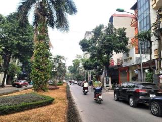 Cho thuê đường lưu quang vũ. dt 65m2 x 5t. mt 4m. kd các mô hình